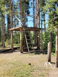 20200816_131026.jpg 20200816_131026.jpg