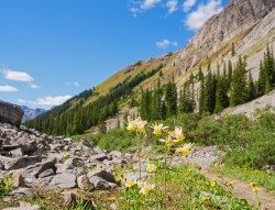 _1200627-copy2.jpg _1200627-copy2.jpg