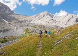 _1200690-copy2.jpg _1200690-copy2.jpg