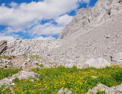 _1200714-copy-2.jpg _1200714-copy-2.jpg