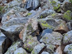 20200826_171034.jpg 20200826_171034.jpg