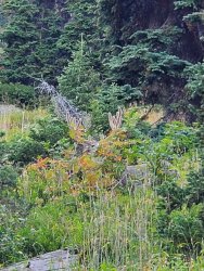 20200826_172840.jpg 20200826_172840.jpg