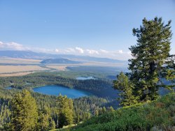 20200826_173241.jpg 20200826_173241.jpg