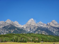 20200827_095034.jpg 20200827_095034.jpg