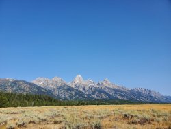 20200827_094607.jpg 20200827_094607.jpg