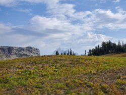 20200829_094623.jpg 20200829_094623.jpg