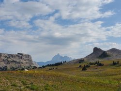 20200829_094938.jpg 20200829_094938.jpg