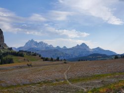 20200829_101149.jpg 20200829_101149.jpg