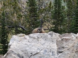 20200831_100932.jpg 20200831_100932.jpg