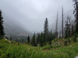 20200831_131326.jpg 20200831_131326.jpg