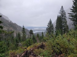 20200831_132534.jpg 20200831_132534.jpg