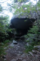 untitled (18 of 44)-5.jpg