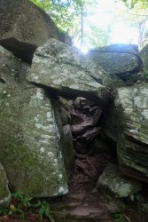 untitled (20 of 44)-6.jpg