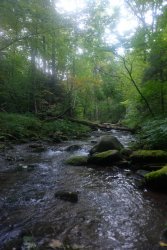 untitled (37 of 44)-7.jpg