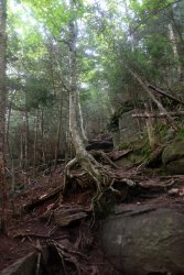 untitled (38 of 44)-8.jpg