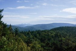 untitled (40 of 44)-1.jpg