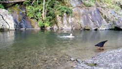 VideoCapture_20200908-192256.jpg VideoCapture_20200908-192256.jpg