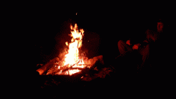 20200908_202215_1.gif 20200908_202215_1.gif