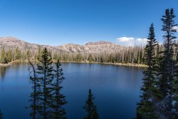 DSC00943.jpg DSC00943.jpg