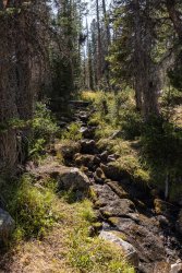 DSC00942.jpg DSC00942.jpg