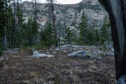 DSC00954.jpg DSC00954.jpg