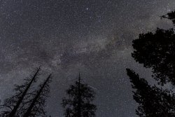 DSC00965.jpg DSC00965.jpg