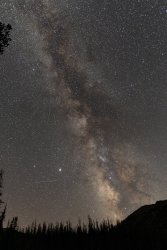 DSC00968.jpg DSC00968.jpg