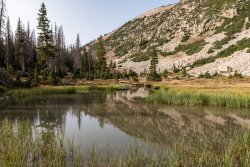 DSC00997.jpg DSC00997.jpg