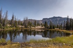 DSC01007.jpg DSC01007.jpg