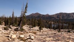 GH010450.jpg GH010450.jpg