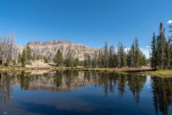 DSC00939.jpg DSC00939.jpg