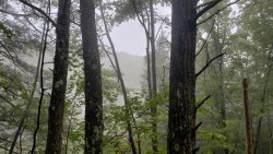 20200924_114531.jpg 20200924_114531.jpg