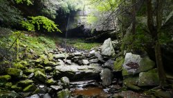 1040491.jpg 1040491.jpg