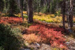 Windy McPheters 9-20200129.jpg