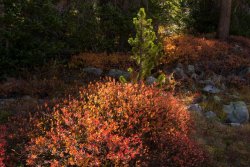 Windy McPheters 9-20200175.jpg