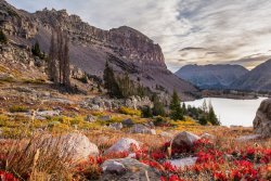 Windy McPheters 9-20200404-sm-sh-proc-1.jpg