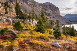 Windy McPheters 9-20200431-sm-sh-proc-1.jpg