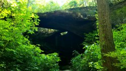 20200930_143024.jpg 20200930_143024.jpg