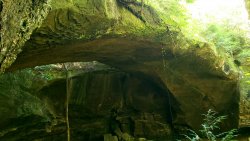 20200930_142456.jpg 20200930_142456.jpg