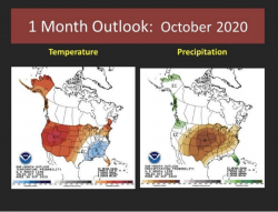 Screen Shot 2020-10-11 at 10.54.41 AM.png