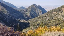 IMG_20200925_101159581.jpg IMG_20200925_101159581.jpg