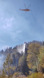 IMG_20200926_134146284.jpg IMG_20200926_134146284.jpg