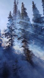 IMG_20200926_121030094.jpg IMG_20200926_121030094.jpg