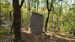 20201014_101517.jpg 20201014_101517.jpg