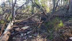 20201013_150106.jpg 20201013_150106.jpg