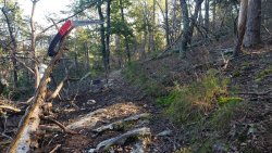 20201013_154058.jpg 20201013_154058.jpg