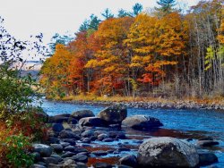 FDDE7D1A-0E47-41AC-B6D2-26587E240C74.jpeg FDDE7D1A-0E47-41AC-B6D2-26587E240C74.jpeg