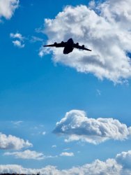 C950B785-0231-4646-BEC7-A0C0BE74DA5B.jpeg C950B785-0231-4646-BEC7-A0C0BE74DA5B.jpeg