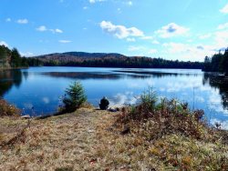 D77A77E5-754D-4C25-A110-6DE7B006C845.jpeg D77A77E5-754D-4C25-A110-6DE7B006C845.jpeg