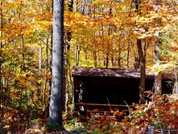 89C6E654-2D76-440E-BA3B-D06F085E84FE.jpeg 89C6E654-2D76-440E-BA3B-D06F085E84FE.jpeg